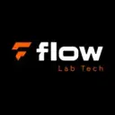 Logo da software house 'Flow - Lab Tech'