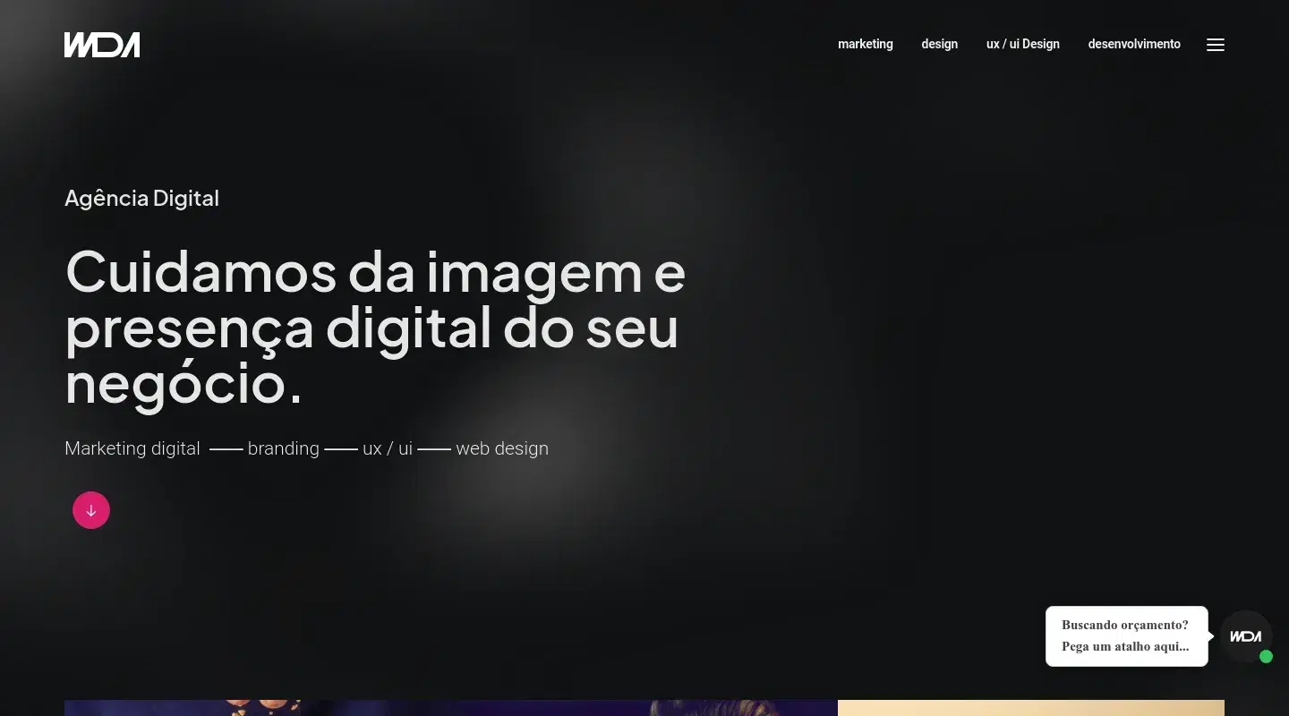 Screenshot da página inicial do site da Software House "WDA"